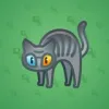 Scared Cat #9255
