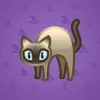 Scared Cat #9368