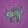 Scared Cat #9451