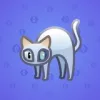 Scared Cat #9464
