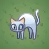Scared Cat #9508