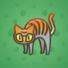 Scared Cat #9843