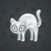 Scared Cat #9861