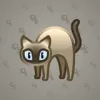 Scared Cat #9969