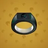 Signet Ring #10000