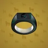 Signet Ring #10336