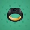 Signet Ring #105