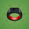 Signet Ring #1060