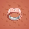 Signet Ring #10962