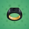 Signet Ring #10970