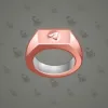 Signet Ring #11001