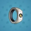 Signet Ring #11343
