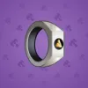 Signet Ring #11358