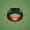 Signet Ring #11488