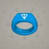Signet Ring #11490