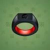 Signet Ring #11517
