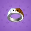 Signet Ring #11562