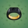 Signet Ring #1177