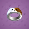 Signet Ring #11897