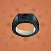 Signet Ring #11915