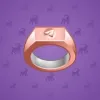 Signet Ring #11917