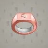 Signet Ring #12058