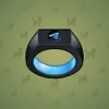 Signet Ring #1213