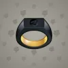 Signet Ring #12745
