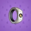 Signet Ring #1283