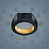 Signet Ring #12893