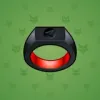 Signet Ring #12999
