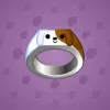Signet Ring #13