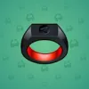 Signet Ring #13083