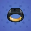 Signet Ring #13134