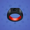 Signet Ring #13138