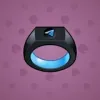 Signet Ring #13155