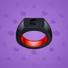 Signet Ring #13187