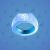 Signet Ring #13207