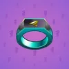 Signet Ring #1336