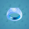Signet Ring #13494