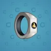 Signet Ring #13537