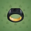 Signet Ring #13613