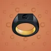 Signet Ring #13618