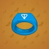 Signet Ring #1376
