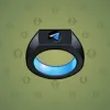 Signet Ring #138