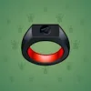 Signet Ring #13831