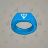 Signet Ring #13881