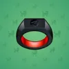 Signet Ring #13934
