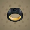 Signet Ring #1417