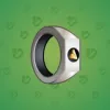 Signet Ring #14401